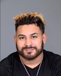 ALVAREZ, REGGIE JOSHUA