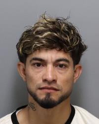 ALVARADO BONILLA, ONIN MANUEL