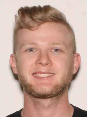 CARVEL, HARRIS MICHAEL