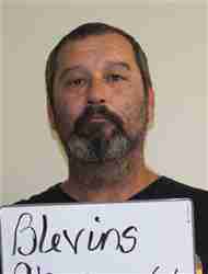 BLEVINS, STEVEN