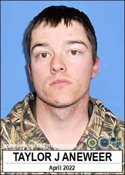 ANEWEER, TAYLOR JOSEPH