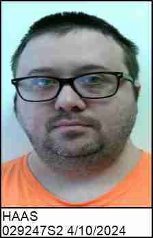 HAAS, RICHARD MICHAEL