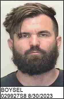 BOYSEL, ROBERT MICHAEL
