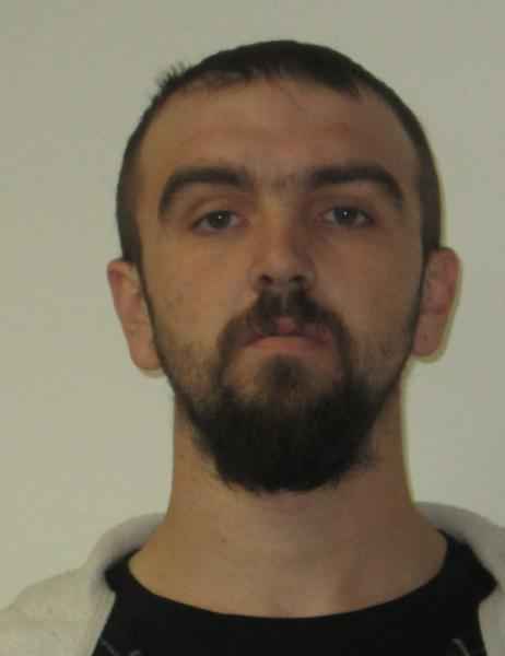 DAUWALTER, LARRY J
