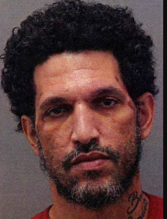 APARICIO DELEON, CARLOS JOSE